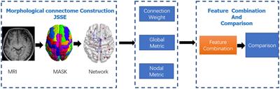 Morphologic brain network predicts levodopa responsiveness in Parkinson disease
